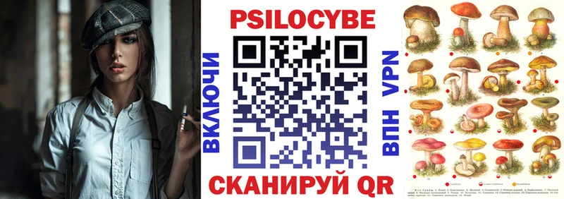 Псилоцибиновые грибы MAGIC MUSHROOMS  купить наркотики сайты  Пыталово 