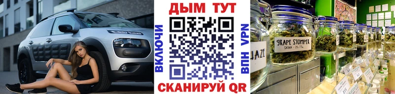 Бошки Шишки Amnesia  Пыталово 